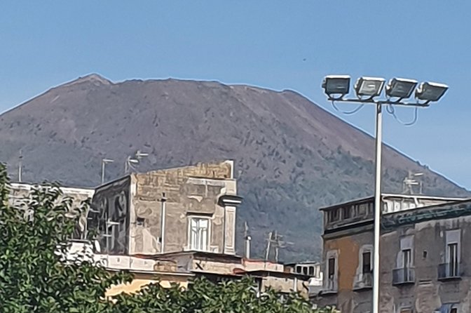 Pompeii and Amalfi Coast Day Tour - Assistance and Information for Travelers