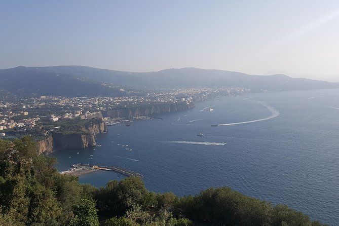 Pompeii and Amalfi Coast Private Full-Day Tour - Sorrento - Pricing