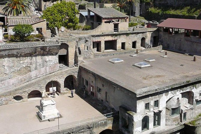 Pompeii and Herculaneum Private Tour - Reviews by Viator Travelers