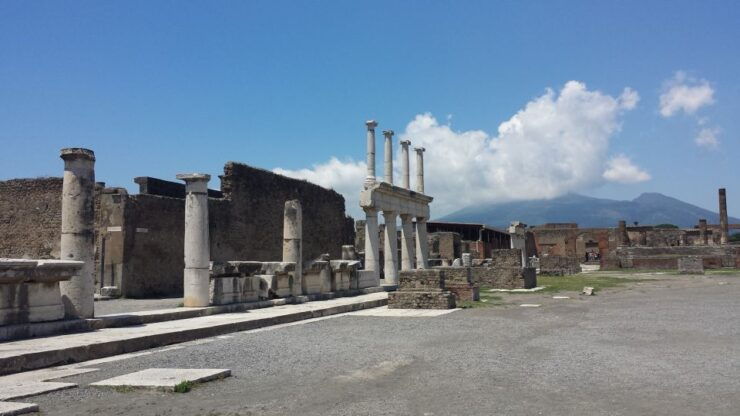 Pompeii and Herculaneum: Private Tour From Naples - Customer Reviews