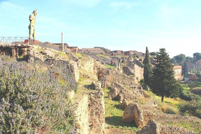 Pompeii and Herculaneum Private Tour With Native Guide and Skip the Line Tickets - Additional Information
