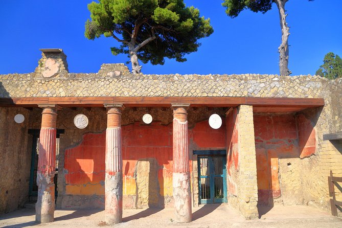 Pompeii and Herculaneum Private Walking Tour With an Archaeologist - Traveler Photos and Reviews