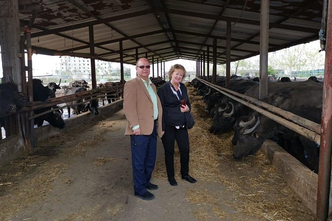 Pompeii and Herculaneum Skip-The-Line With Lunch&Winetasting From Rome - Traveler Photos