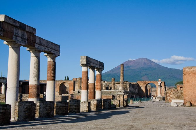Pompeii and Herculaneum Skip-The-Line With Lunch&Winetasting From Rome - Reviews