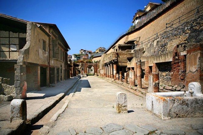 Pompeii and Herculaneum Tour by Train From Sorrento - Inclusions