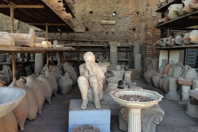 Pompeii and Herculaneum Tour Plus Wine Tasting From Sorrento - Scenic Wine Tasting Lunch