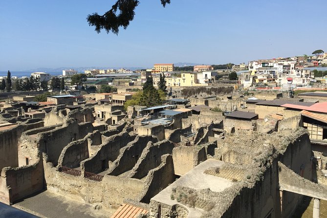 Pompeii and Herculaneum Tour Plus Wine Tasting From Sorrento - Traveler Photos and Reviews