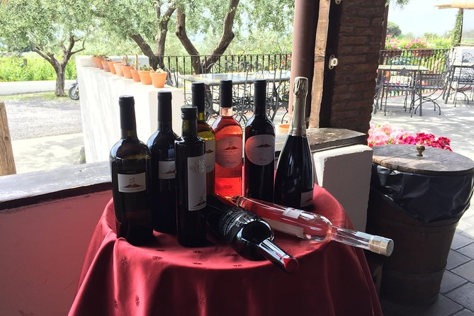 Pompeii and Herculaneum Tour Plus Wine Tasting From Sorrento - Pricing and Terms
