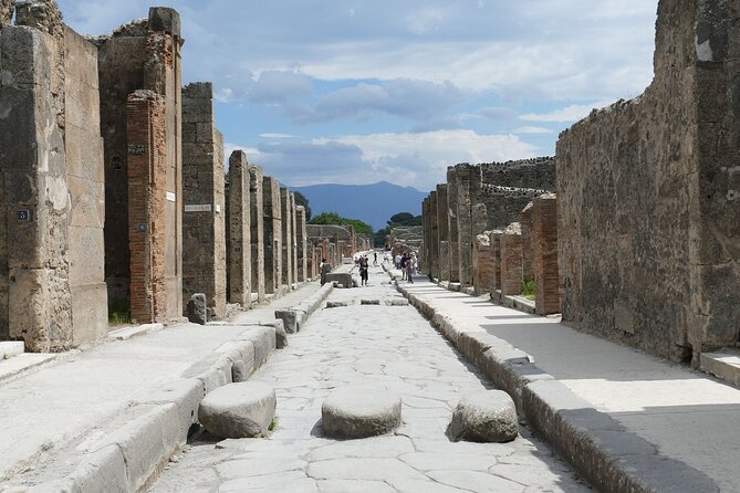 Pompeii and Herculaneum With Wine Tour - Tour Highlights