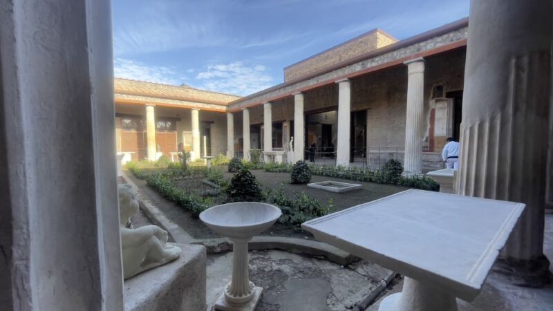 Pompeii and House of Vettii Guided Tour - Who Will Love This Tour?