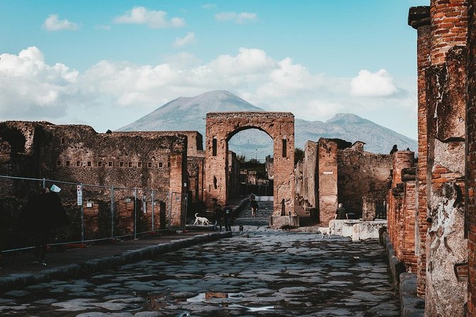 Pompeii and Mount Vesuvius Day Trip From Naples - Common Questions