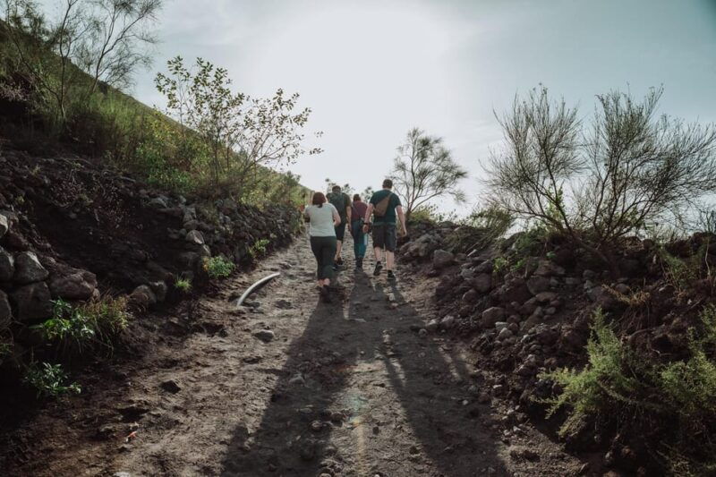 Pompeii and Mount Vesuvius excursion from Naples - An In-Depth Look at the Tour Experience