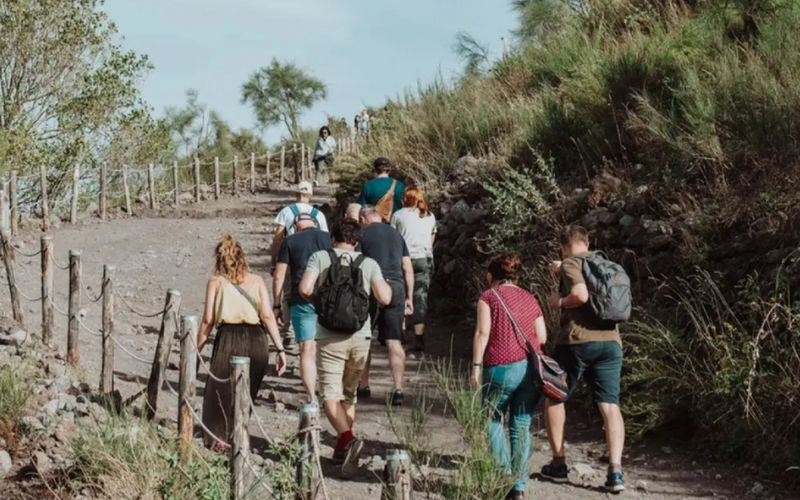 Pompeii and Mount Vesuvius Full-Day Small Group Tour - Vesuvius: the crater and the view