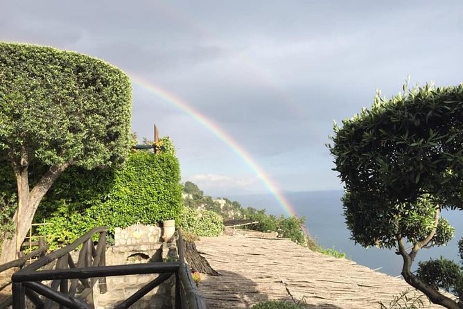 Pompeii and Mount Vesuvius Full-Day Tour From Rome With Driver - Tour Itinerary