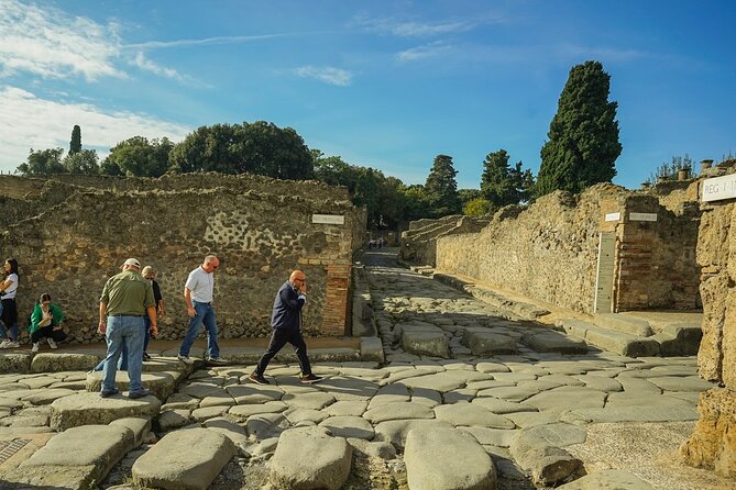 Pompeii and Mount Vesuvius Private Full-Day Tour - Additional Information