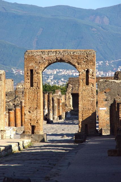 Pompeii and Mount Vesuvius Wine Tasting Private Tour - Highlights