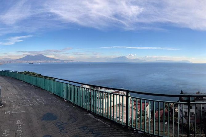 Pompeii and Naples: Day Tour From Rome With Lunch, Private Group - Pickup and Cancellation Policy