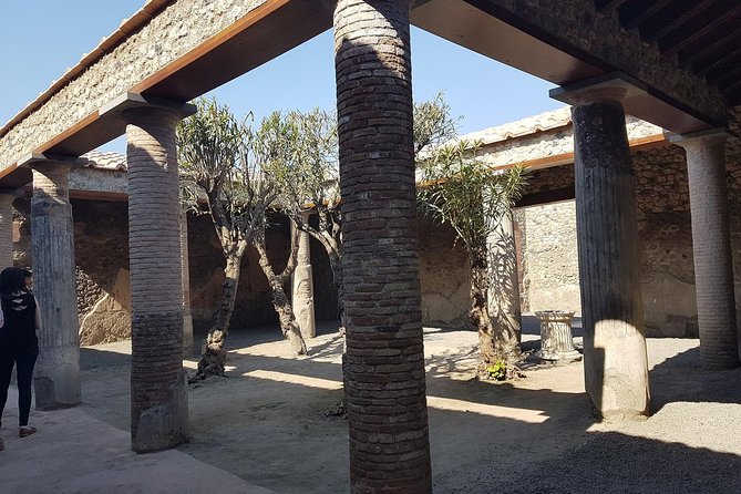 Pompeii and Naples: Day Tour From Rome With Lunch, Private Group - How to Book