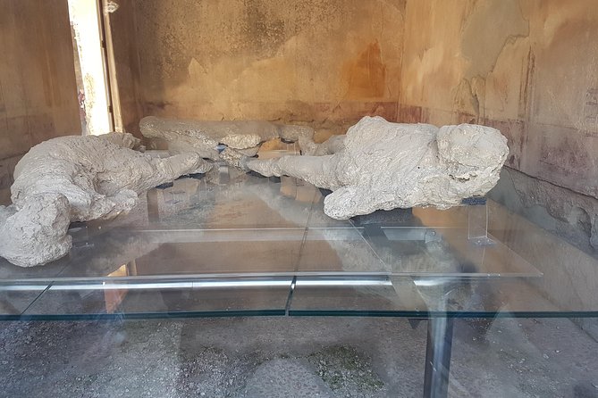 Pompeii and Naples: Day Tour From Rome With Lunch, Private Group - Common Questions