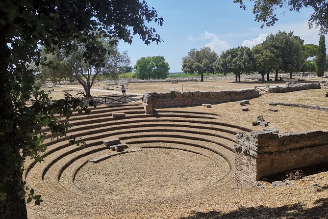 Pompeii and Paestum Day Tour From Positano - Tour Highlights