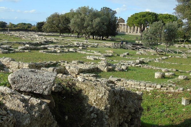 Pompeii and Paestum Skip-The-Line Shore Excursion From Naples Cruise Port - Tour Options