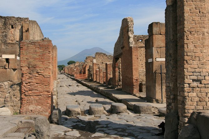 Pompeii and Paestum Skip-The-Line Shore Excursion From Naples Cruise Port - Pricing and Options
