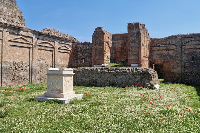 Pompeii and Sorrento Private Day Tour From Rome - Meeting and Pickup Details