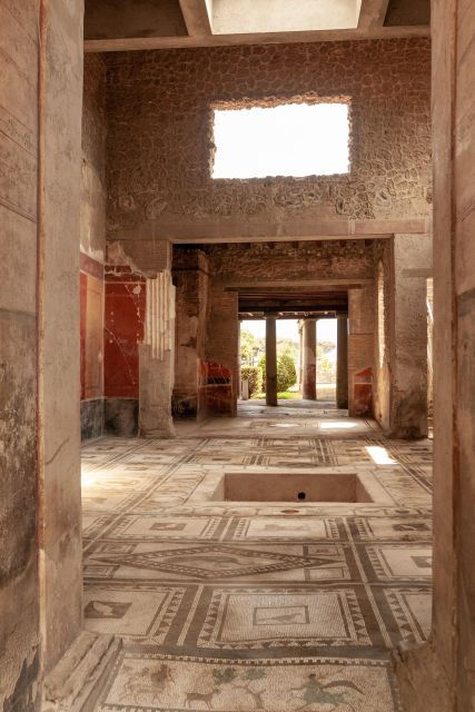 Pompeii and Sorrento Private Tour from Rome - A Deep Dive into the Experience