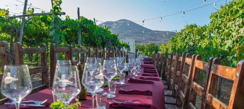 Pompeii and Vesuvius Cellars: Tour with Pick-Up in Positano - Good To Know