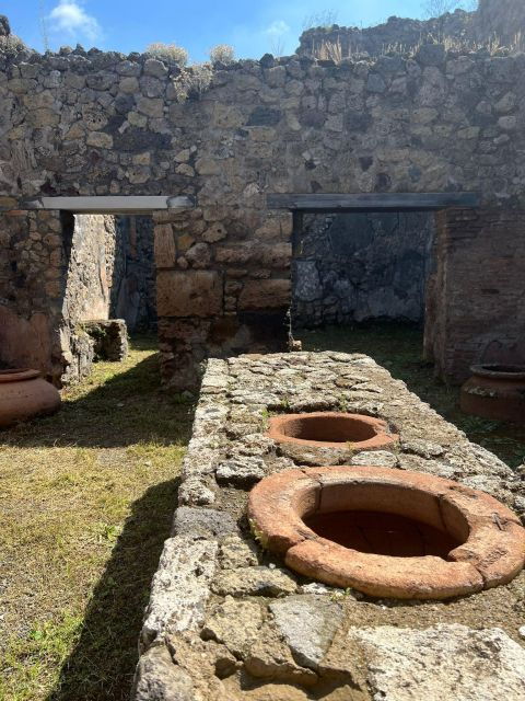 Pompeii and Vesuvius Cellars: Tour with Pick-Up in Positano - A Word on the Experience Quality
