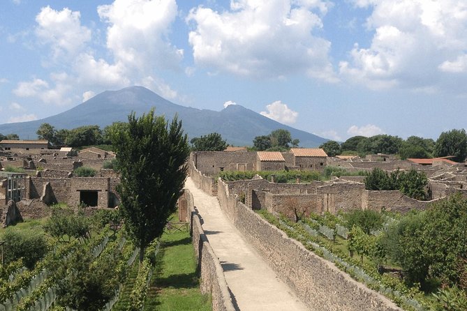 Pompeii and Vesuvius Day Trip From Naples With Lunch - Pickup Points
