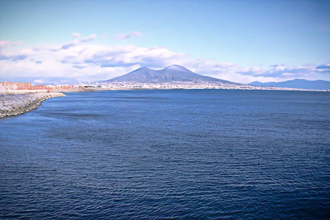 Pompeii and Vesuvius From Naples. Private Activity - Tour Details