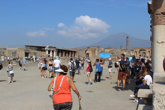 Pompeii and Vesuvius From Naples. Private Activity - Cancellation Policy