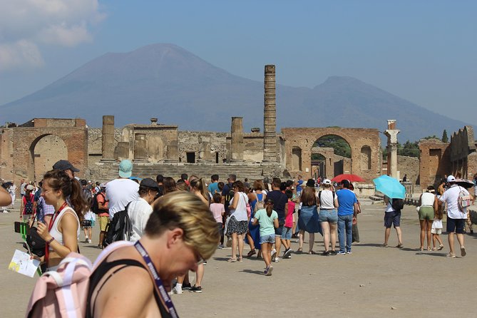 Pompeii and Vesuvius From Naples. Private Activity - The Sum Up