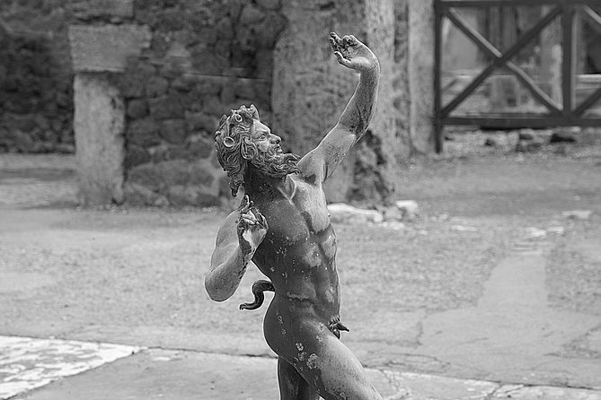 Pompeii and Vesuvius From Sorrento Small Group - Positive Reviews - Great Guide and Experience