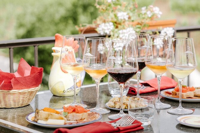 Pompeii and Vesuvius Wine Tasting Private Tour - What To Expect