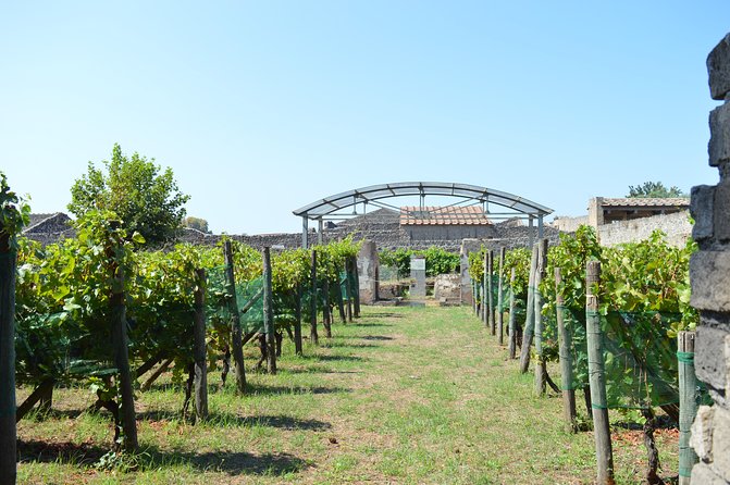 Pompeii and Wine Tasting Tour at the Slopes of the Mt Vesuvius - Tour Logistics and Pickup Locations