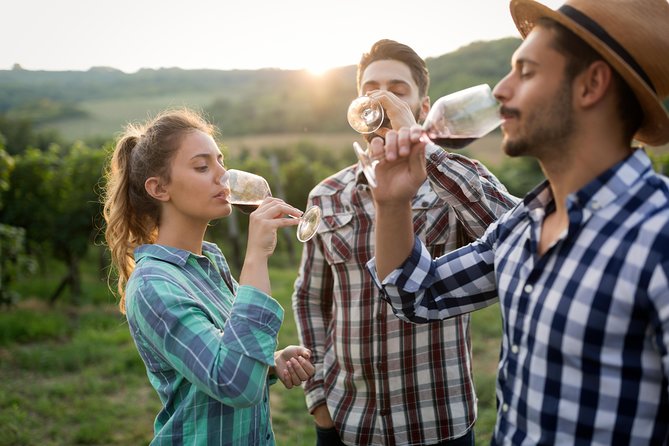Pompeii and Wine Tasting Tour at the Slopes of the Mt Vesuvius - Important Information for Participants
