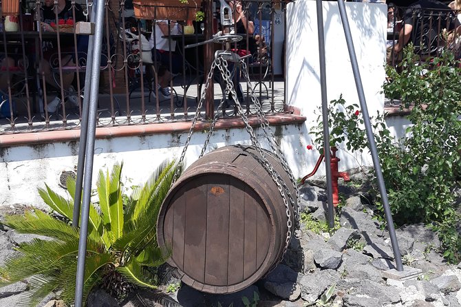 Pompeii and Winery Tour From Sorrento - Inclusions