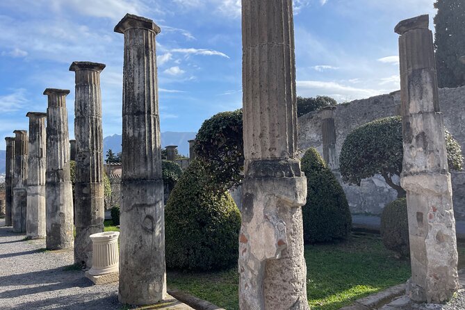 Pompeii Archaeological Excavations Tour - Half Day - Tour Highlights