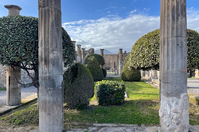 Pompeii Archaeological Excavations Tour - Half Day - Inclusions Details