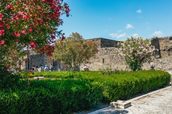 Pompeii: Archaeological Park Tour With Skip-The-Line Entry - Reviews and Customer Feedback