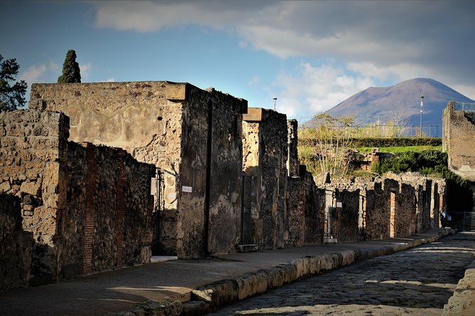 Pompeii Archeological Site Fast Track Entry Ticket - Ticket Inclusions and Benefits