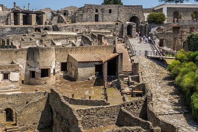 Pompeii Archeological Site Fast Track Entry Ticket - Location and Accessibility Details