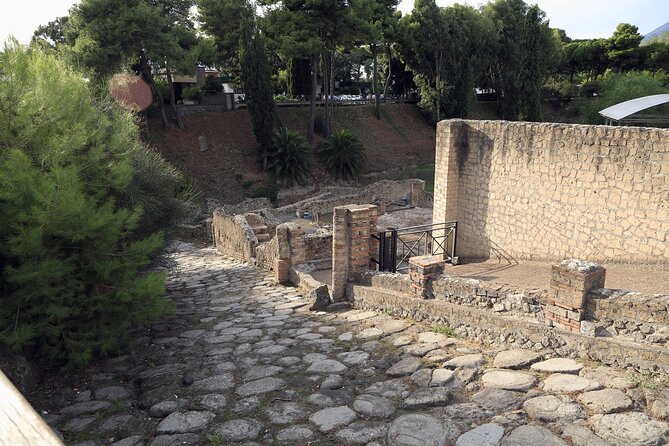 Pompeii Day Tour - Booking and Pricing Details