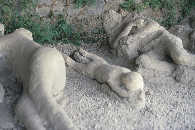 Pompeii Day Trip From Rome With Mount Vesuvius or Positano Option - What To Expect