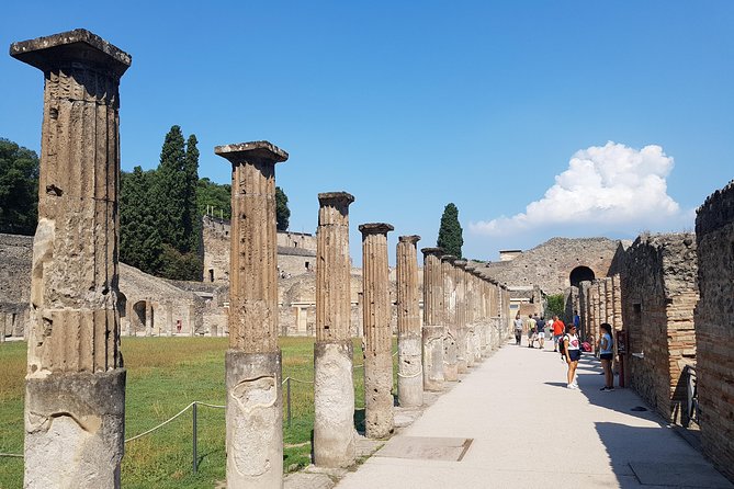 Pompeii Excavation Tour Visiting Naples, Full Day From Rome - Customer Review and Testimonial