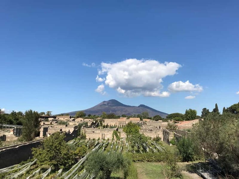 Pompeii: Exclusive Tour with Archaeologist and Entry Tickets - Discover Pompeii with an Exclusive Archaeologist-Led Tour