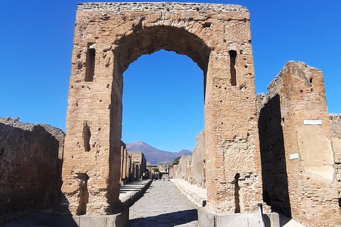 Pompeii for Kids - Private Tour - Positive Reviews From Travelers