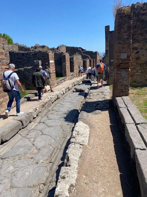 Pompeii From Napoli: Transfer + Entry Ticket + Guided Tour - Good To Know